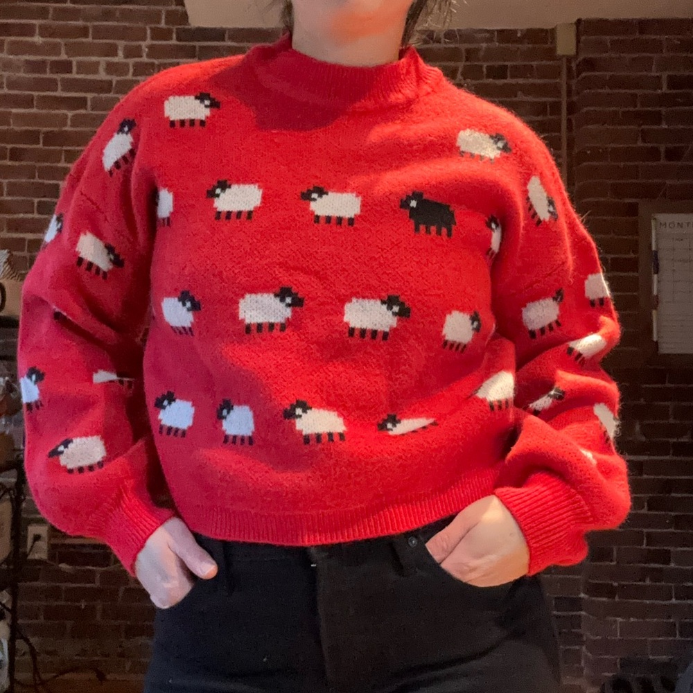 BB Dakota Vibrant Red Knit Top